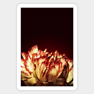 Carnation Flower Fire Sticker